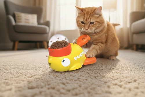 Chat jouant avec le jouet canard - ambiance cosy